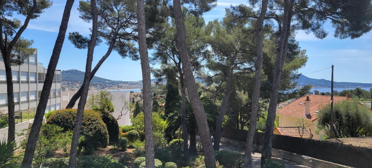 Apartment Grand T2 Vue Calme Climatise 500 M Village Et Parking Gratuit *